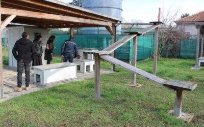 monza oasi felina