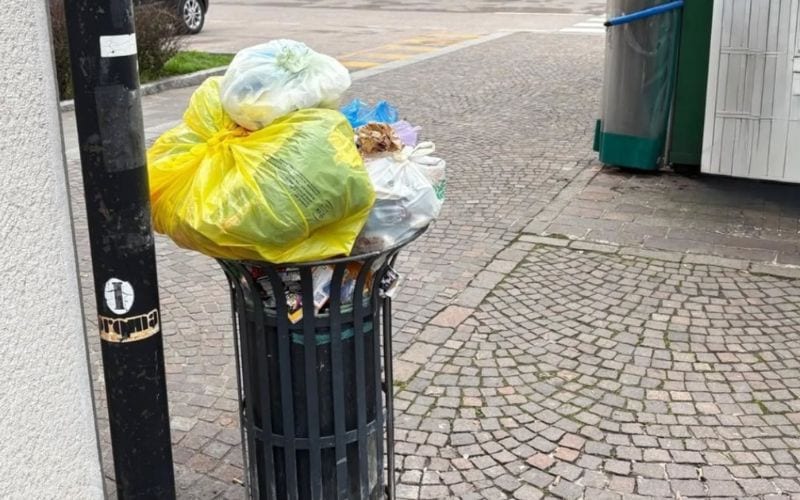 rifiuti cestino sanzioni