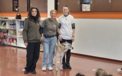 cani san giuliano