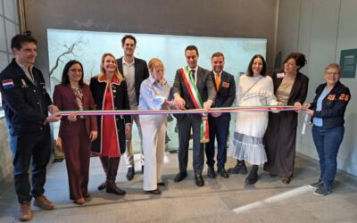 rho mostra pattinaggio