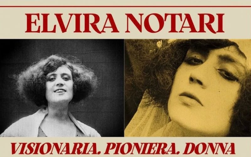 elvira notari