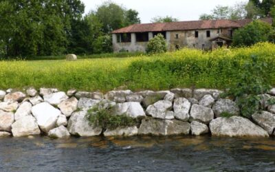 rho mulino sant'elena parco basso olona