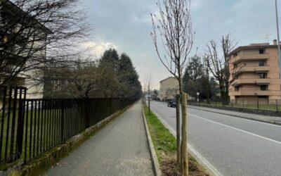 usmate viale europa