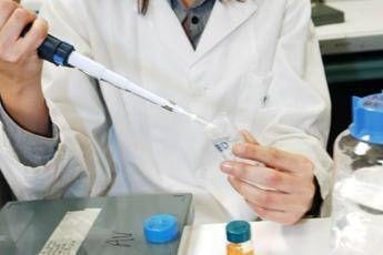 Melanoma alcune cellule tumorali riescono a nascondersi al sistema immunitario