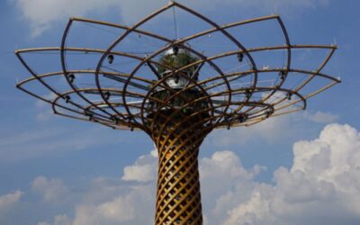expo albero della vita