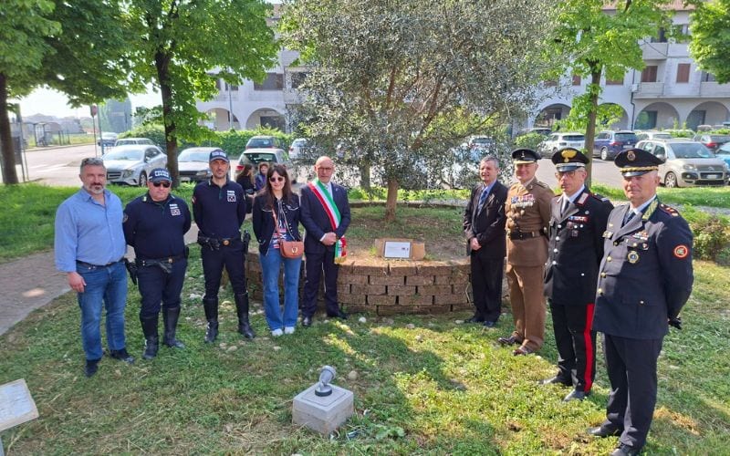 mediglia commemora