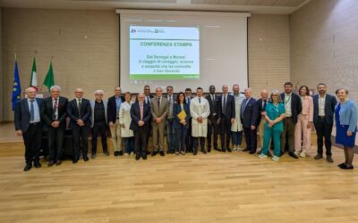 monza gemelle siamesi