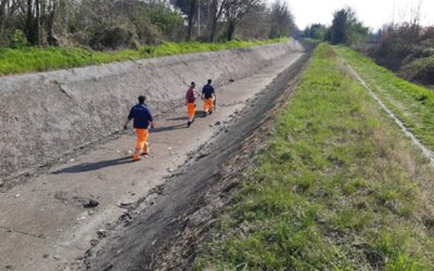 monza pulizia canale villoresi