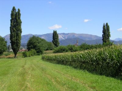 parco agricolo nord est pane