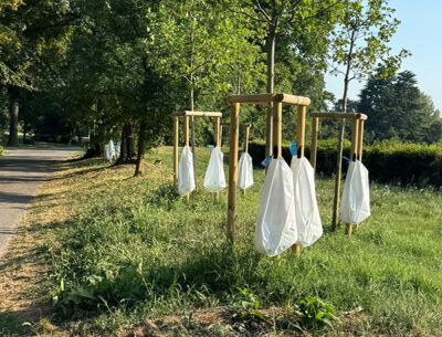 Saccheacqua parcodimonza