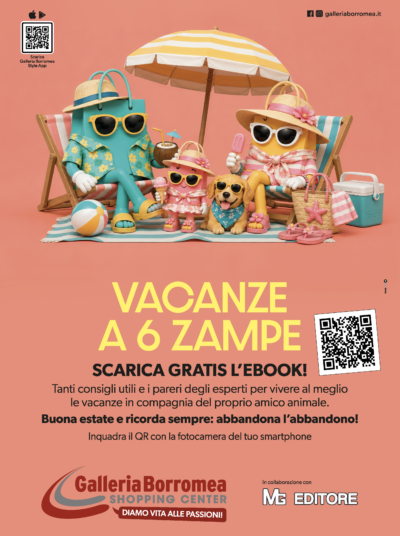 GB 6zampe inserzione