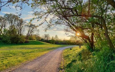 Parco Nord Milano