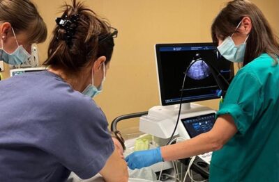 Sonda ecocardiografica