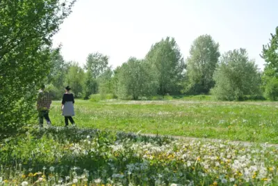 Verde e ambiente
