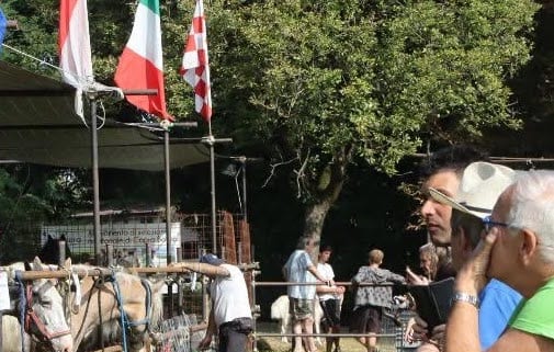 Albiate sagra san fermo