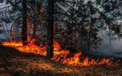 Incendio