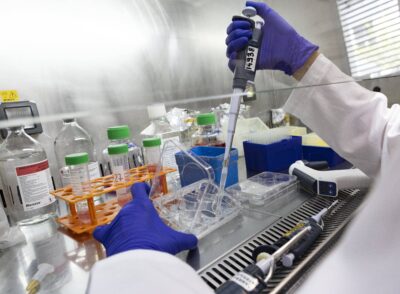 FondazioneTettamanti Laboratorio1