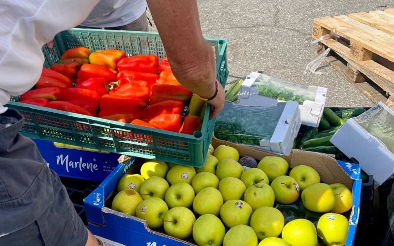Alimenti solidarieta banco alimentare