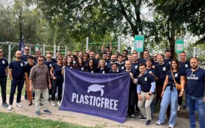 Cassina plastic free
