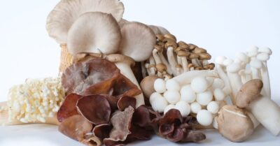 Funghi