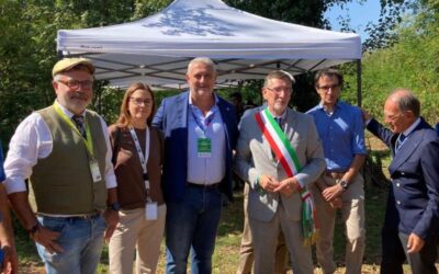 Gp monza ogni pilota un albero