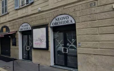 Orchidea cinema