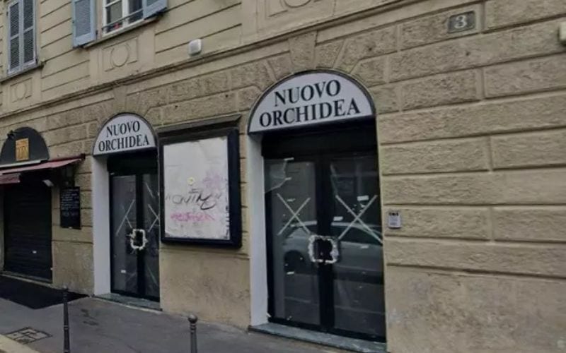 Orchidea cinema