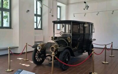 Palombella monza