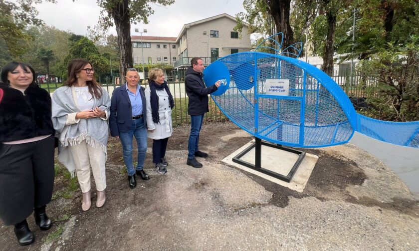 Cinisello contenitore pesce