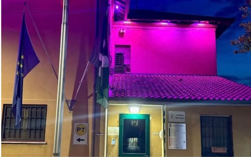 Colturno comune rosa