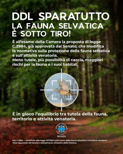 Enpa monza campagna ddl sparatutto 01 st1