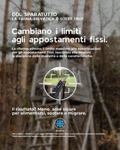 Enpa monza campagna ddl sparatutto 02 st