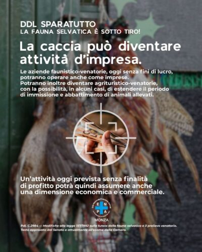 Enpa monza campagna ddl sparatutto 03 st