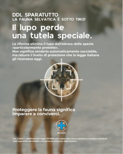 Enpa monza campagna ddl sparatutto 04 st