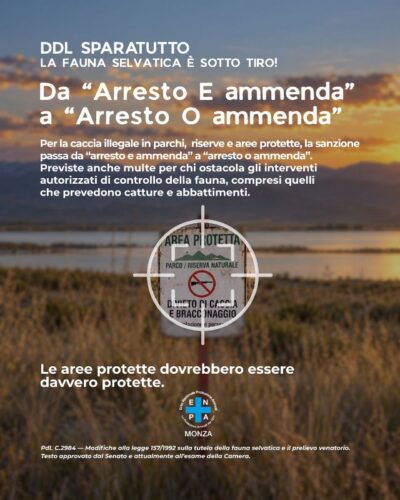 Enpa monza campagna ddl sparatutto 05 st