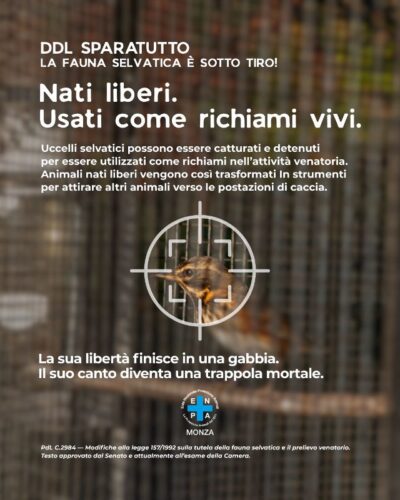 Enpa monza campagna ddl sparatutto 06 st2