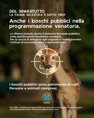 Enpa monza campagna ddl sparatutto 07 st1