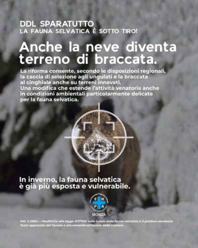Enpa monza campagna ddl sparatutto 10 st1