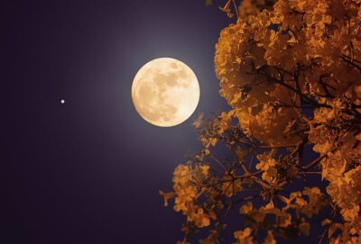 Luna