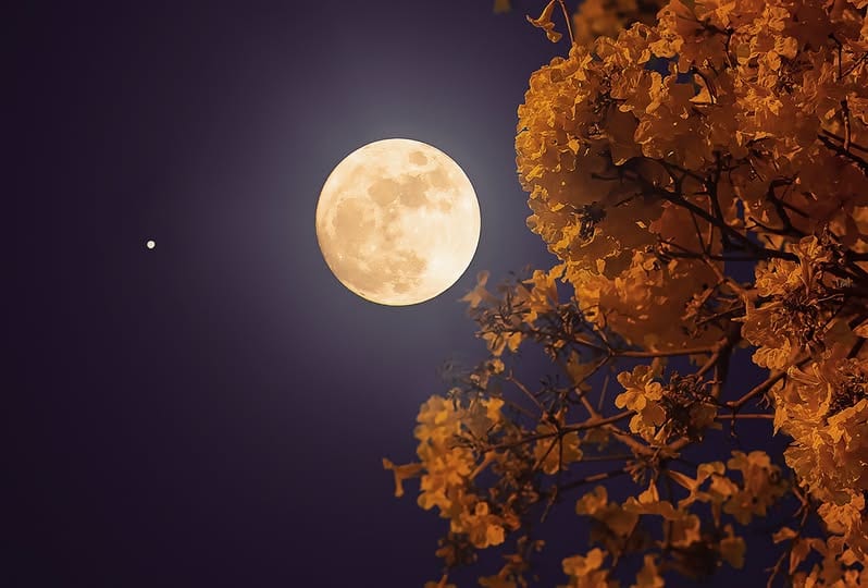Luna