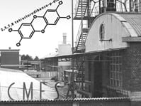 Meda icmesa
