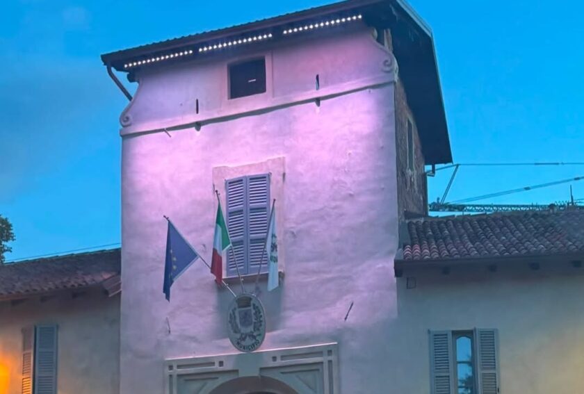 Municipio vimercate rosa