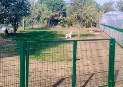 Opera area cani