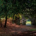 Parco monza