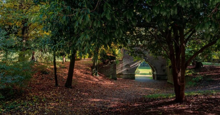 Parco monza