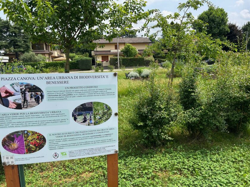 Villasanta commissione verde tae